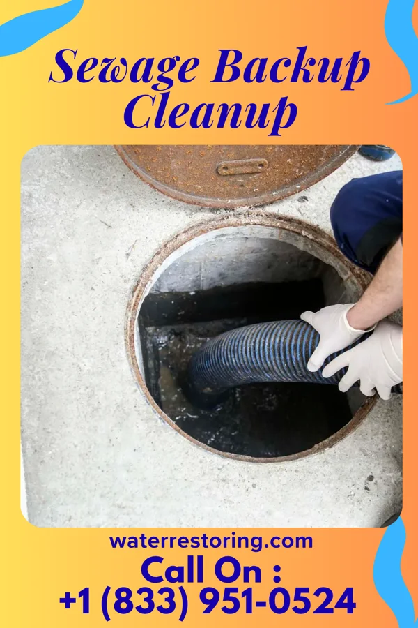 Sewage Backup Cleanup in Warsaw, KY
